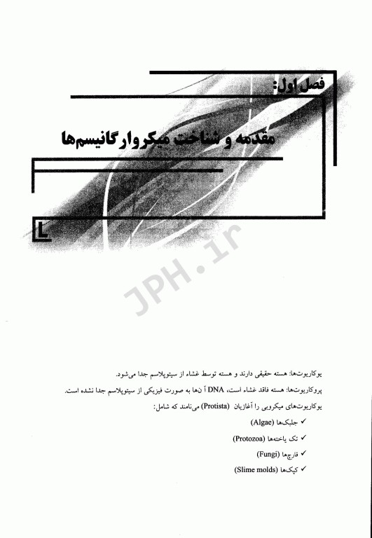 میکروب شناسی پزشکی عمومی باکتری امید عزیزی