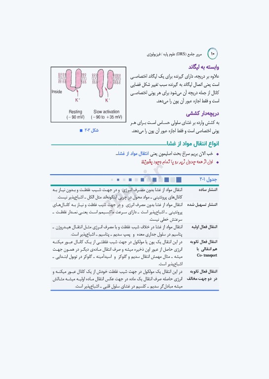 مرور جامع DRS علوم پایه پزشکی فیزیولوژی