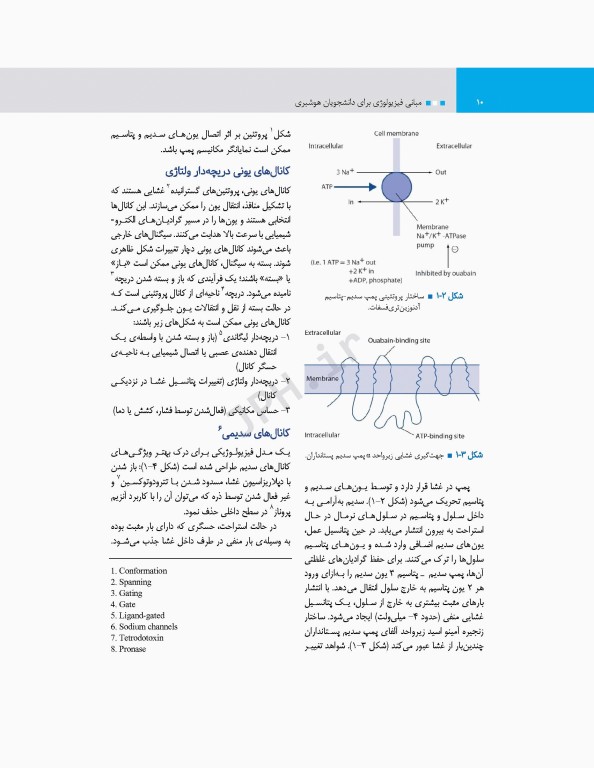 مبانی فیزیولوژی برای دانشجویان هوشبری 2020 دکتر زویا طاهرگورابی
