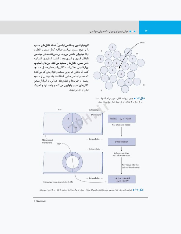 مبانی فیزیولوژی برای دانشجویان هوشبری 2020 دکتر زویا طاهرگورابی
