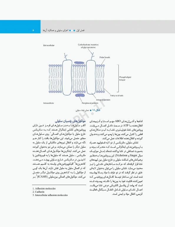 مبانی فیزیولوژی برای دانشجویان هوشبری 2020 دکتر زویا طاهرگورابی