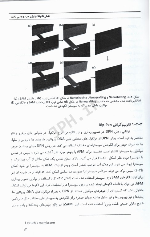 نقش نانو تکنولوژی در مهندسی بافت