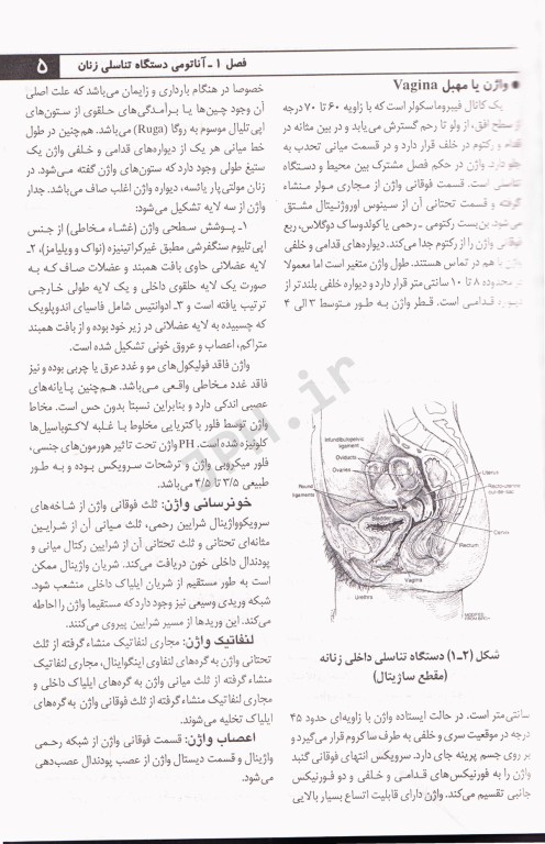 درسنامه بیماری‌های زنان و ناباروری سهیلا نظرپور