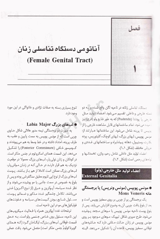 درسنامه بیماری‌های زنان و ناباروری سهیلا نظرپور