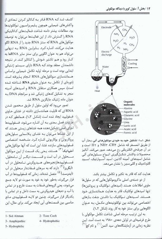 سلول کوپر جلد1 با دیدگاه مولکولی