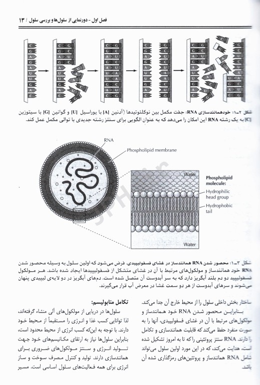 سلول کوپر جلد1 با دیدگاه مولکولی