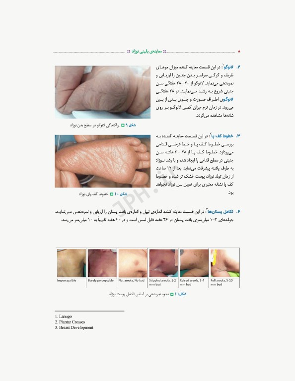 معاینه بالینی نوزاد ترجمه دکتر منا علی‌نژاد