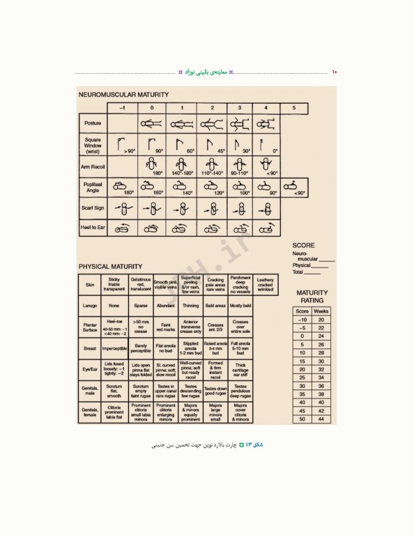 معاینه بالینی نوزاد ترجمه دکتر منا علی‌نژاد