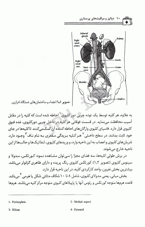 دیالیز و مراقبت‌های پرستاری