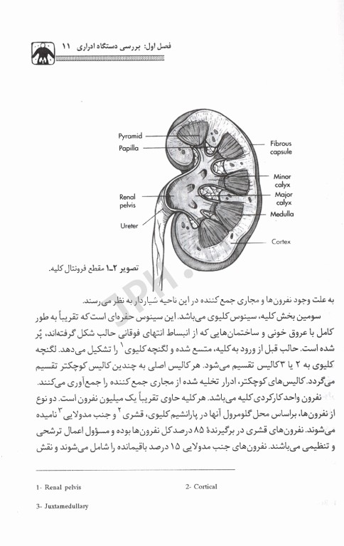 دیالیز و مراقبت‌های پرستاری