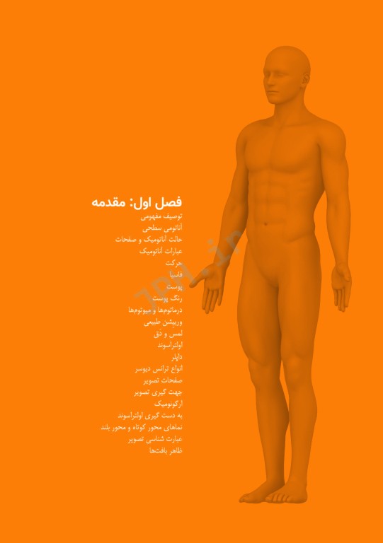 آناتومی سطحی و اولتراسوند گری