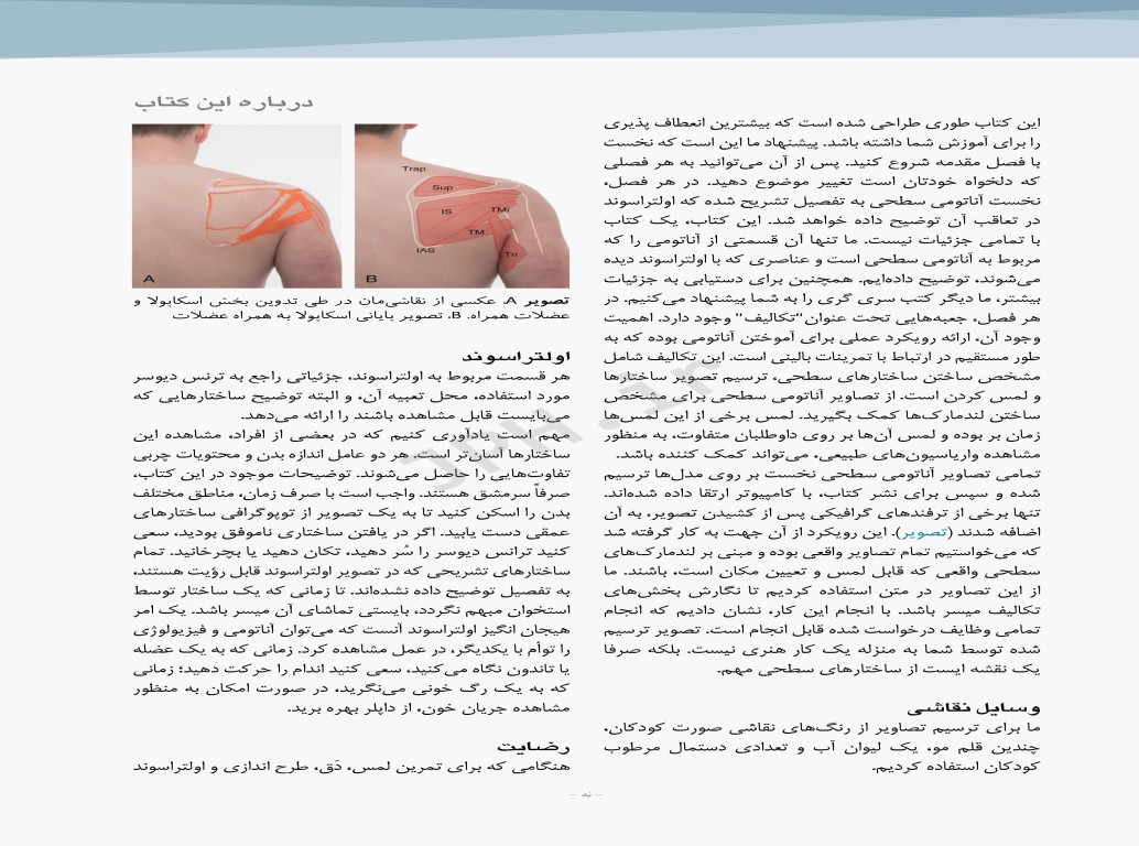 آناتومی سطحی و اولتراسوند گری