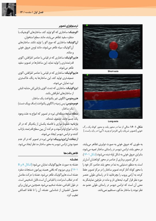 آناتومی سطحی و اولتراسوند گری