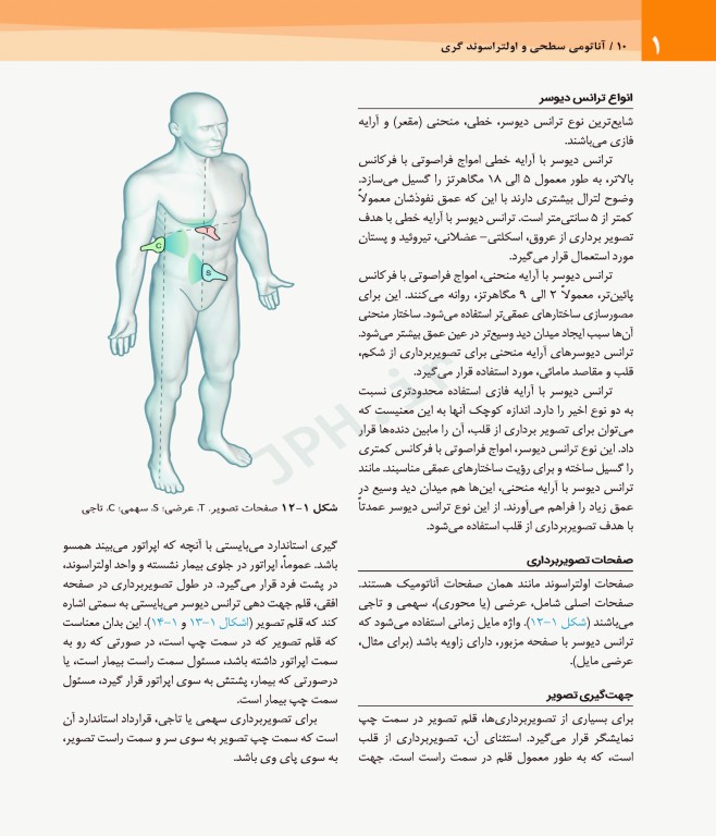 آناتومی سطحی و اولتراسوند گری