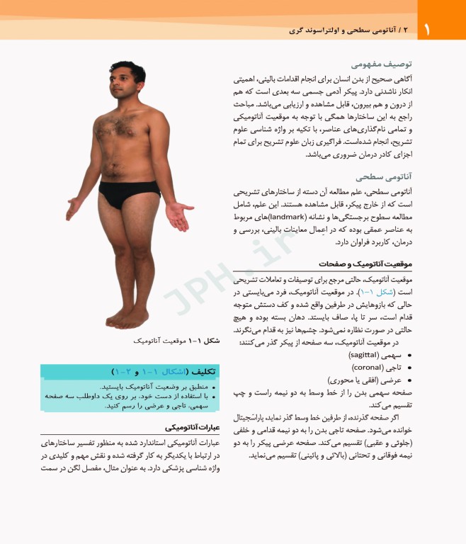 آناتومی سطحی و اولتراسوند گری