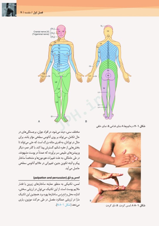 آناتومی سطحی و اولتراسوند گری