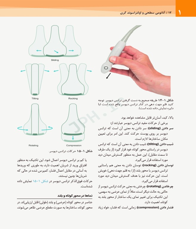 آناتومی سطحی و اولتراسوند گری