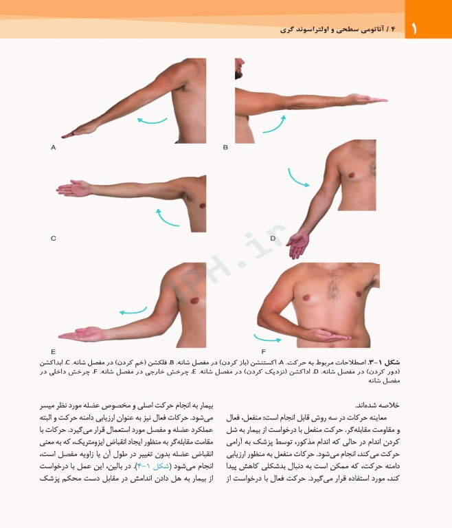 آناتومی سطحی و اولتراسوند گری