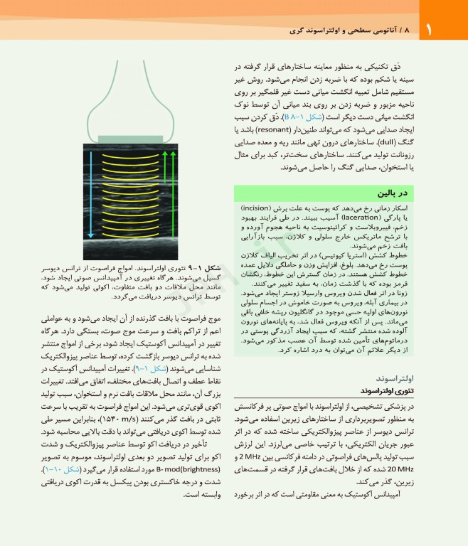 آناتومی سطحی و اولتراسوند گری