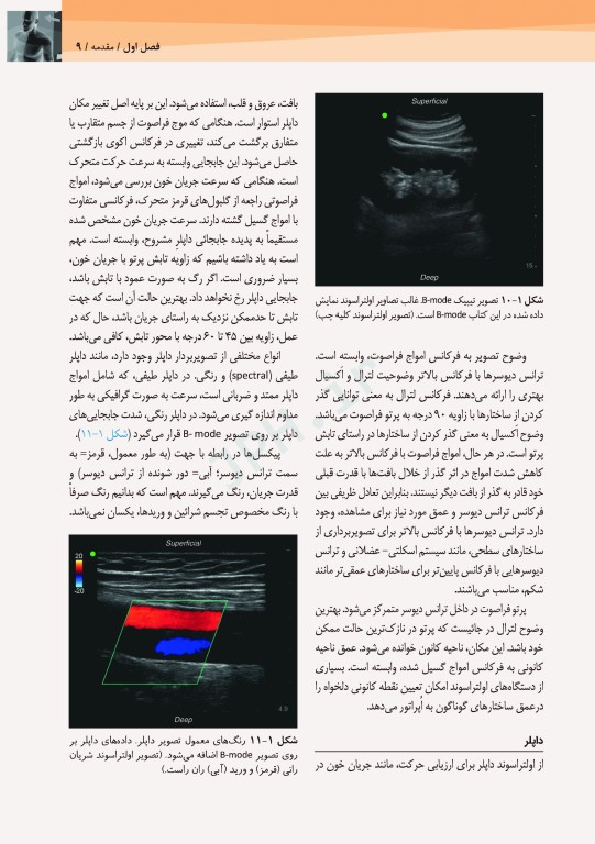 آناتومی سطحی و اولتراسوند گری