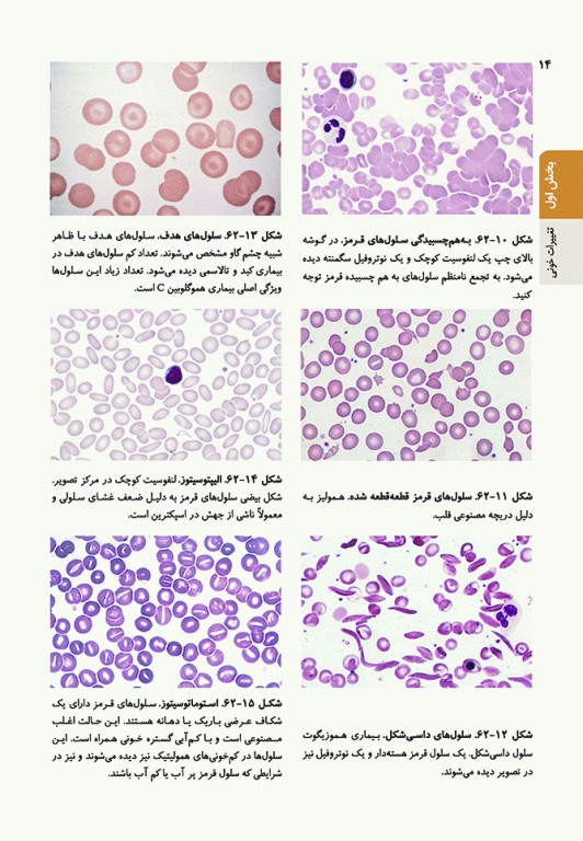 اصول طب داخلی هاریسون 2022 هماتولوژی