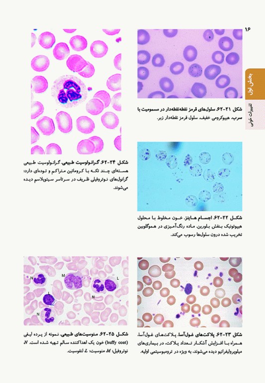 اصول طب داخلی هاریسون 2022 هماتولوژی