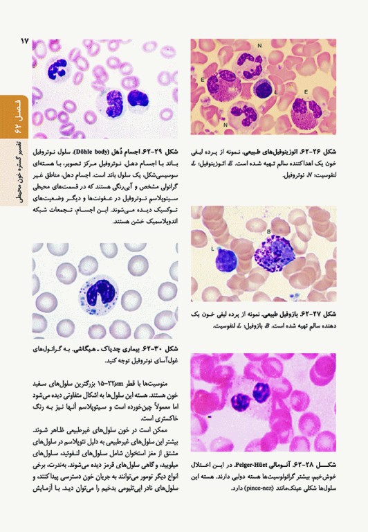 اصول طب داخلی هاریسون 2022 هماتولوژی