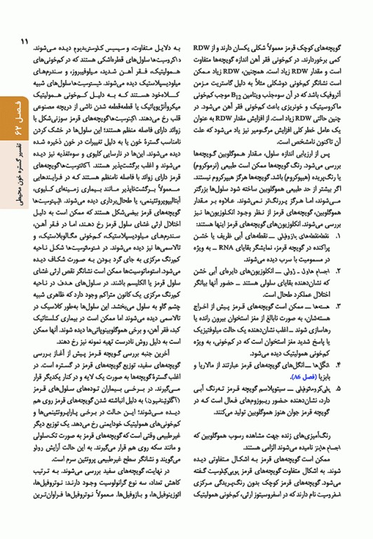 اصول طب داخلی هاریسون 2022 هماتولوژی