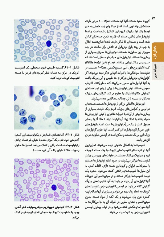 اصول طب داخلی هاریسون 2022 هماتولوژی