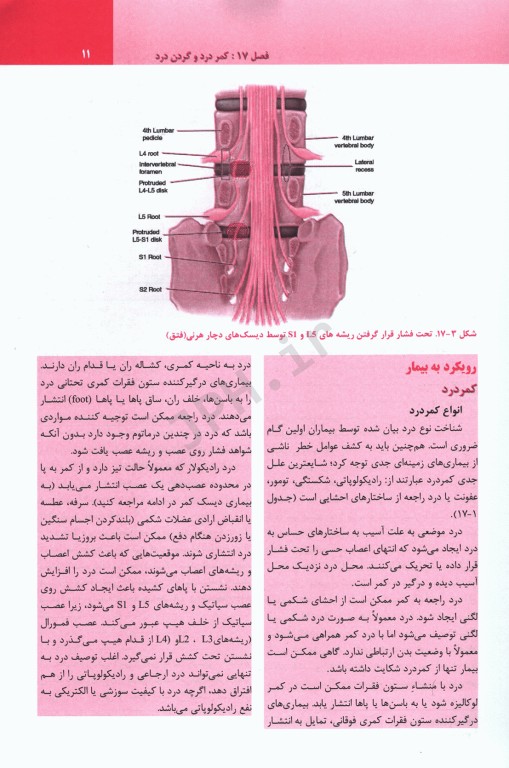 ترجمه کامل هاریسون 2022 بیماری‌های روماتولوژی