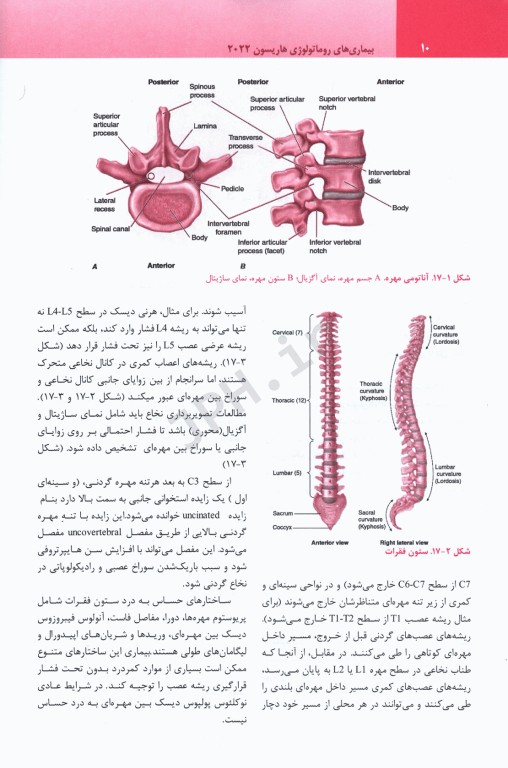 ترجمه کامل هاریسون 2022 بیماری‌های روماتولوژی