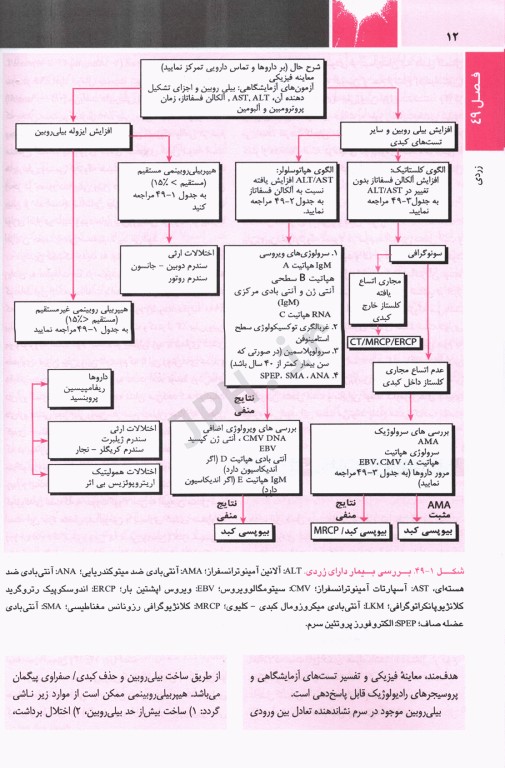 اصول طب داخلی هاریسون 2022 بیماری‌های کبد و پانکراس