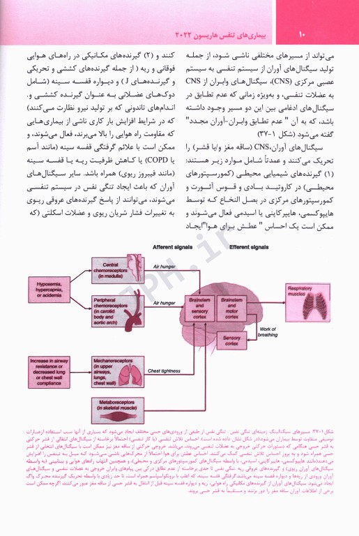 ترجمه کامل هاریسون 2022 بیماری‌های تنفس