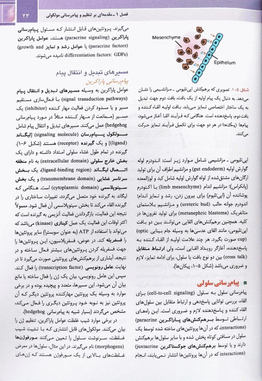 جنین‌شناسی پزشکی لانگمن 2024 دکتر رضا شیرازی