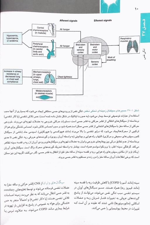 اصول طب داخلی هاریسون 2022 بیماری‌های ریه و مراقبت‌های ویژه
