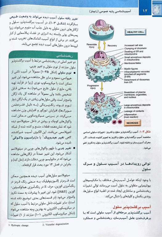 آسیب‌شناسی پایه عمومی رابینز 2023