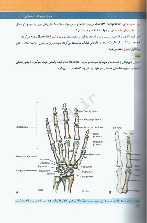 تکنیک‌های پرتونگاری آزمون‌های رادیولوژی دست و پا مریل به همراه اسکنوگرام