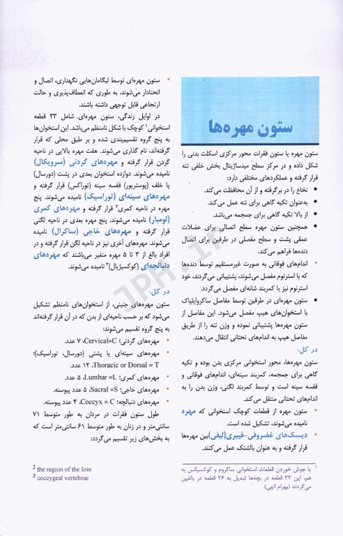 تکنیک‌های پرتونگاری آزمون‌های رادیولوژی قفسه سینه و ستون فقرات مریل