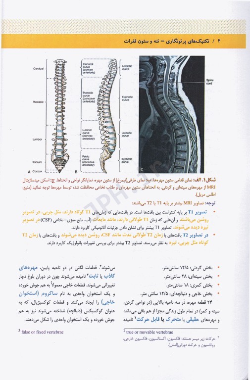تکنیک‌های پرتونگاری آزمون‌های رادیولوژی قفسه سینه و ستون فقرات مریل