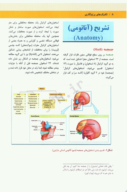 تکنیک‌های پرتونگاری آزمون‌های رادیولوژی جمجمه استخوان‌های صورت و سینوسهای پارانازال مریل