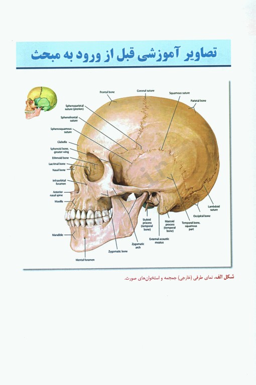 تکنیک‌های پرتونگاری آزمون‌های رادیولوژی جمجمه استخوان‌های صورت و سینوسهای پارانازال مریل