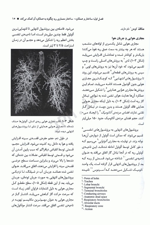 اصول فیزیولوژی تنفس پرفسور جان بی. وست