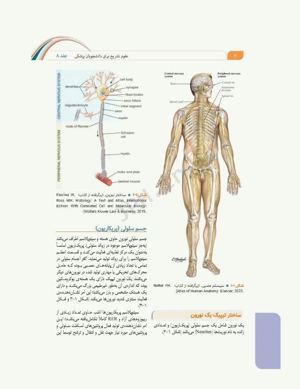 علوم تشریح برای دانشجویان پزشکی جلد 8 دستگاه اعصاب