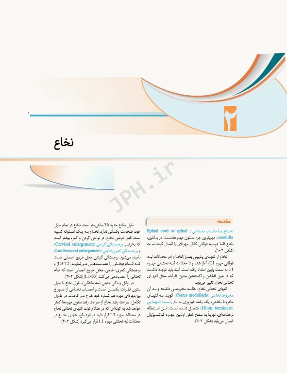 علوم تشریح برای دانشجویان پزشکی جلد 8 دستگاه اعصاب