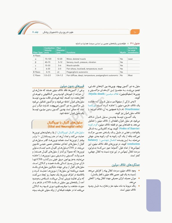 علوم تشریح برای دانشجویان پزشکی جلد 8 دستگاه اعصاب