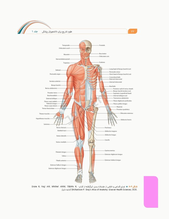 علوم تشریح برای دانشجویان پزشکی جلد1 مقدمات علوم تشریح