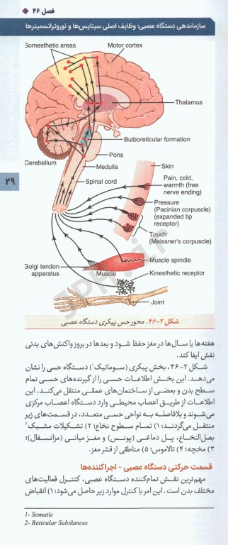 فیزیولوژی پزشکی گایتون و هال 2020 جلد پنجم