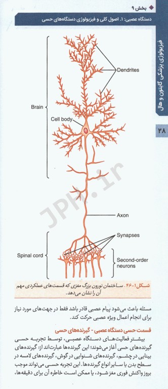 فیزیولوژی پزشکی گایتون و هال 2020 جلد پنجم