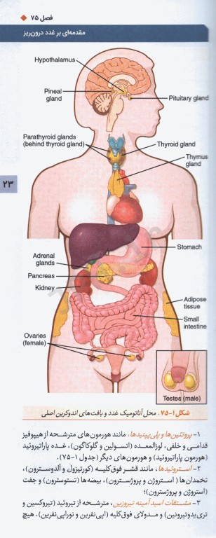 فیزیولوژی پزشکی گایتون و هال 2020 جلد هفتم