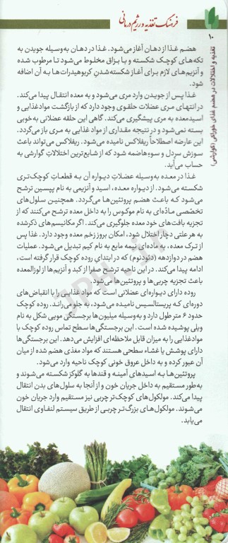 فرهنگ تغذیه و رژیم درمانی جلد2 بیماری‌های دستگاه گوارش